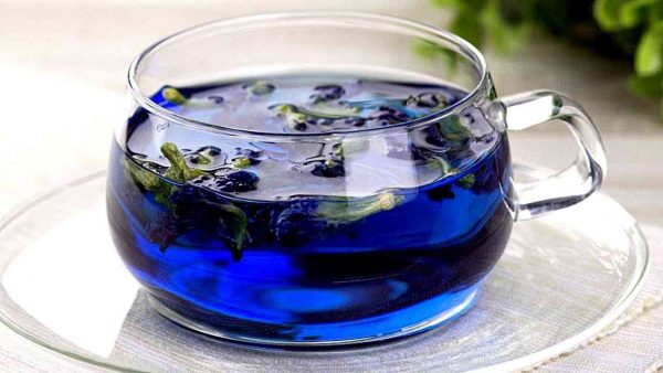 الشاي الأزرق لإنقاص الوزن بشكل طبيعي مجلة رجيم