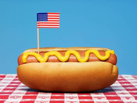 صورة الهوت دوج Hot Dog