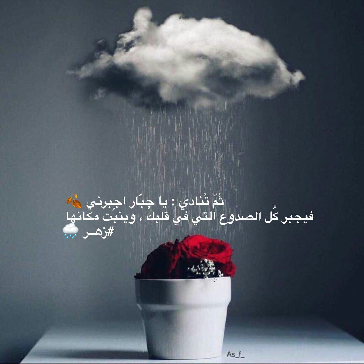 كلمات جميلة عن المطر كلام قصير عن الامطار والشتاء عبارات حب للمطر مجلة رجيم