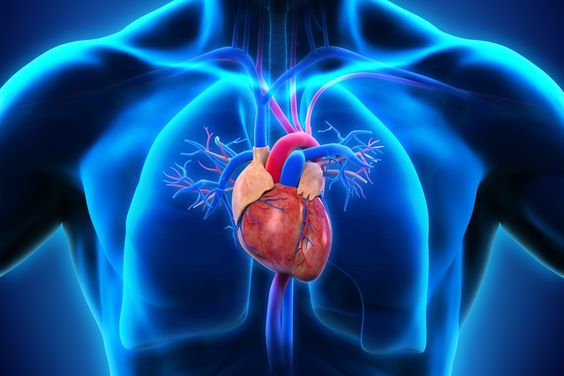 ما هي مخاطر الدهون الثلاثية على القلب