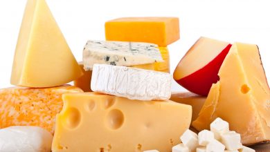 الفرق بين اللبنة والجبنة