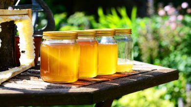 التاكد من جودة العسل النحل