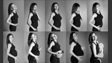 مراحل الحمل