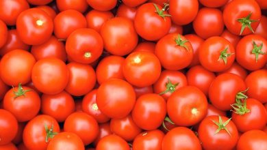 تفسير حلم الطماطم