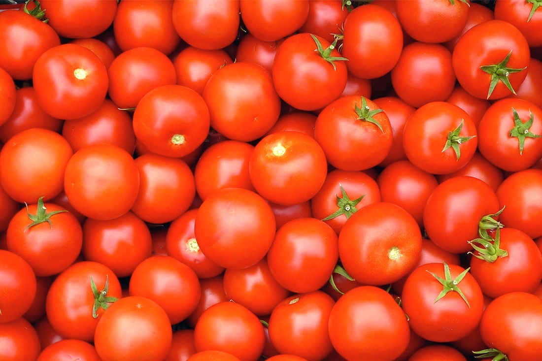 تفسير حلم الطماطم في المنام - مجلة رجيم