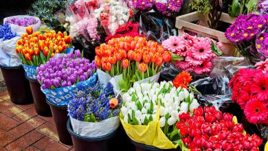 أشهر 10 متاجر بيع الورد والأزهار في الرياض