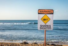 أفضل 10 شواطئ خطيرة في العالم