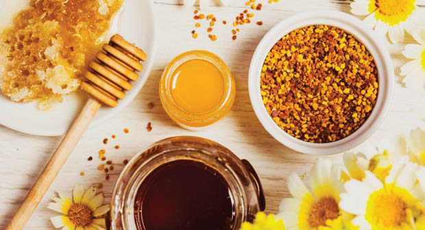 فوائد العسل مع طلع النخل