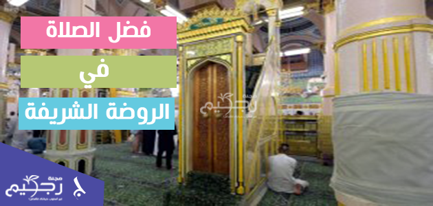الصلاة في المسجد النبوي فضل الصلاة في