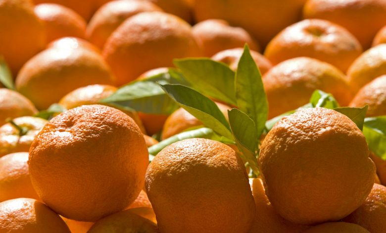 فوائد البرتقال المر