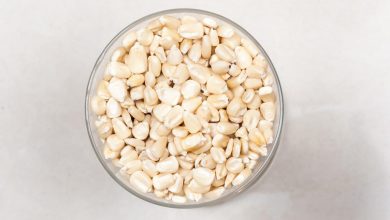 فوائد الذرة البيضاء للغنم